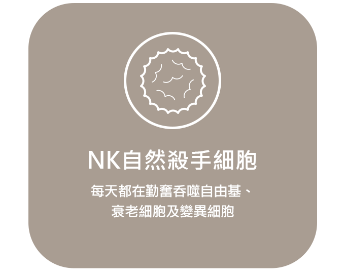 首頁3個細胞_NK