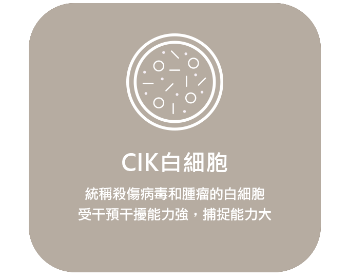 首頁3個細胞_cik