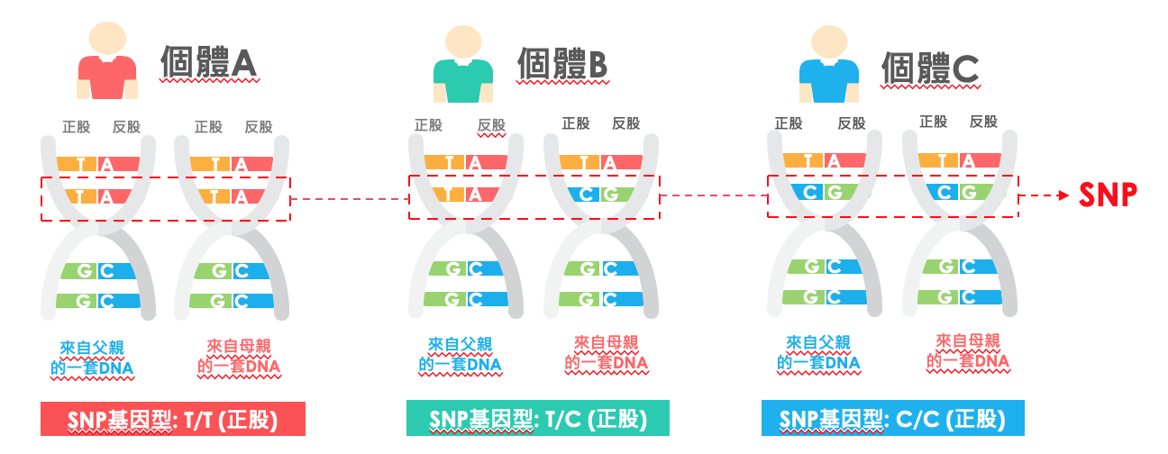 螢幕快照 2024-04-29 下午7.52.58