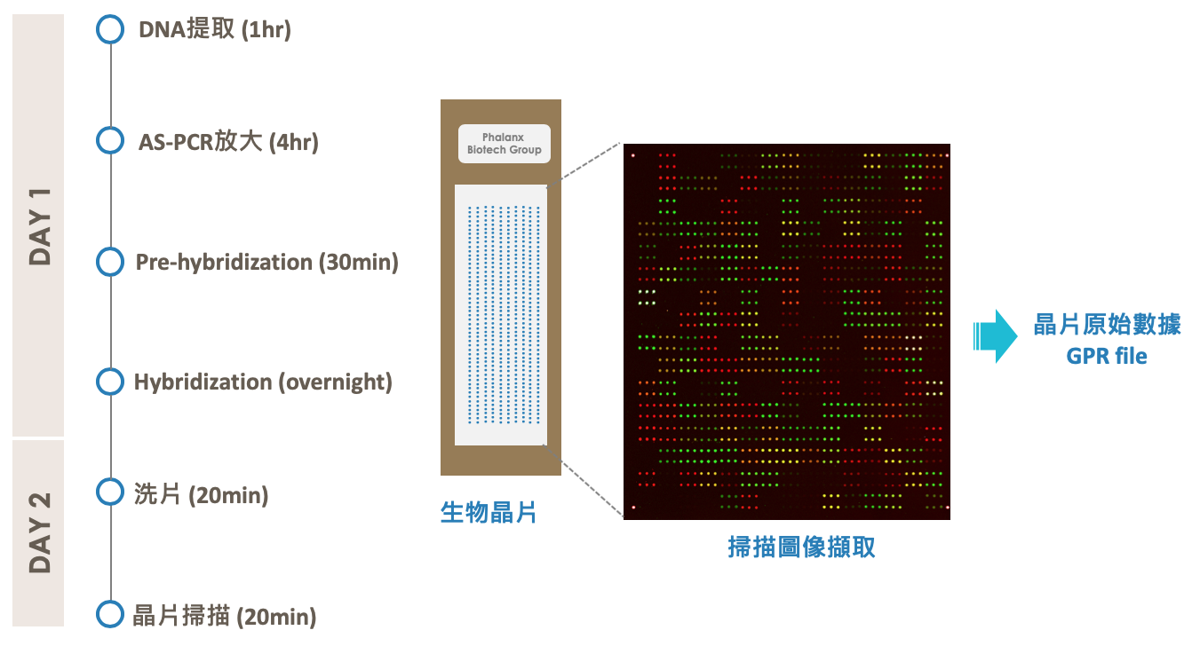 螢幕快照 2024-04-30 下午8.33.57