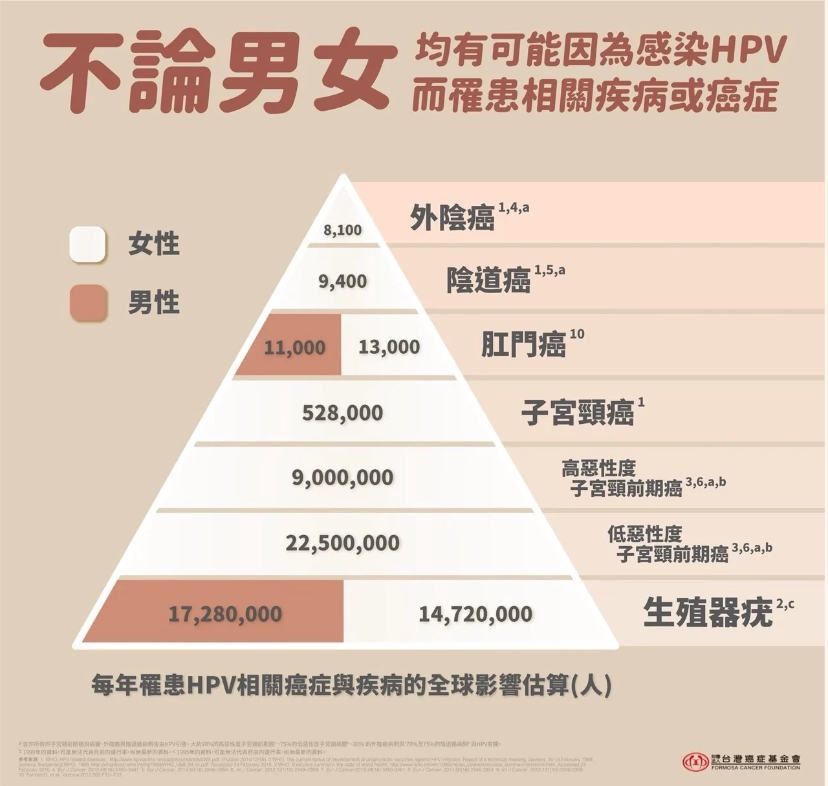 截圖 2024-11-30 下午1.33.12