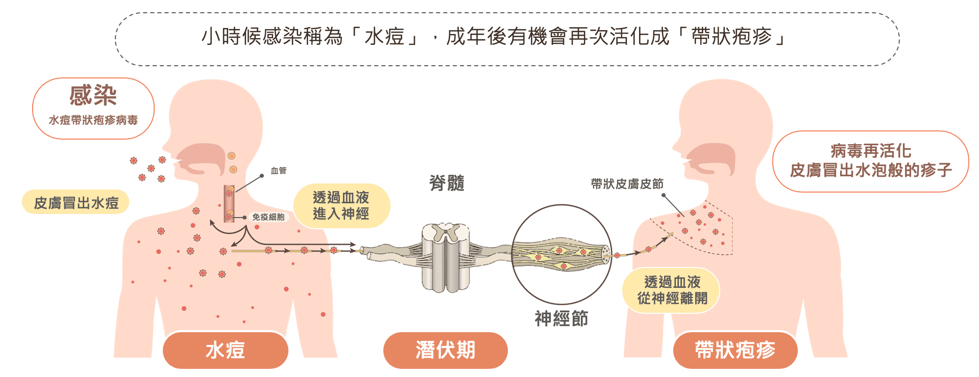 截圖 2024-11-30 下午3.45.57